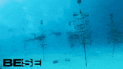 blue planet ocean GIF by BESE