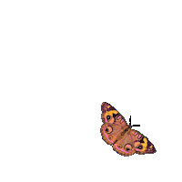 Summer Flying Sticker by Dinaaaaaah