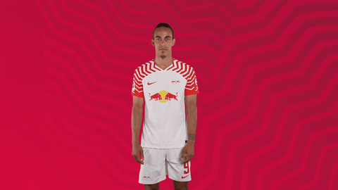 Football What GIF by RB Leipzig
