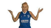 Dhbasketball Sticker by 4Consult / Binnenland