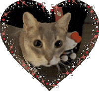 G Dragon Cat Sticker