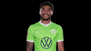 Look Here Reaction GIF by VfL Wolfsburg