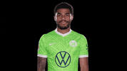 Sport Reaction GIF by VfL Wolfsburg