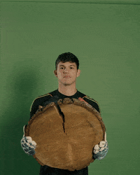 Portland Timbers Soccer GIF by Timbers