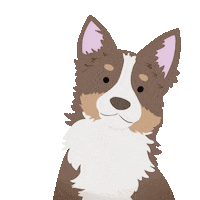 Border Collie Twitch Sticker by petall