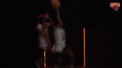 Wbb GIF by CUCougars