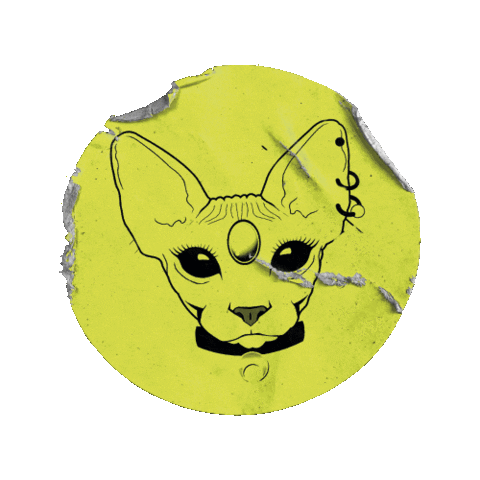 Burak Sticker by Pink Mask Nails