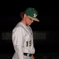 South Florida Baseball GIF by USF Athletics