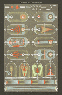 Screcci GIF by A.M.T.G. G.G.