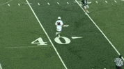 LafayetteLeopards goal goals lacrosse lafayette GIF