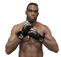 Mma Fighter Sticker by Old School Academy
