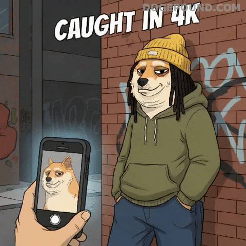 Posing I See You GIF by Doge Pound