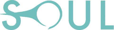 SoulWaveProject giphyupload soulwave soulwaveproject Sticker