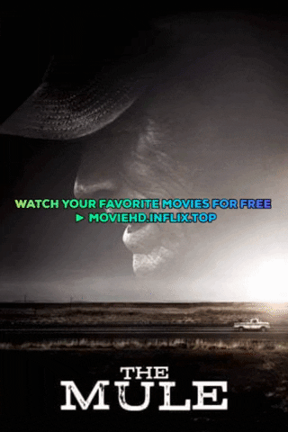 netflixs giphygifmaker themule GIF