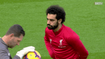 premier league smile GIF by Liverpool FC