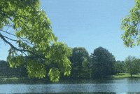 Love You Have A Good Day GIF by Queen Nandi