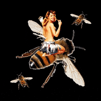 anamariarojasl girl nature wings bee GIF