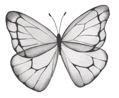 Butterfly Self Care Sticker by Your Inner Babe