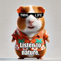 GIF by Guinea Gambino