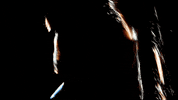 Sub Pop Lights GIF by Sub Pop Records