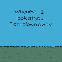 Happy I Love You GIF by Chippy the Dog