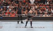 Wwe Wrestling GIF