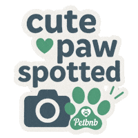Cat Dog Sticker by petbnb