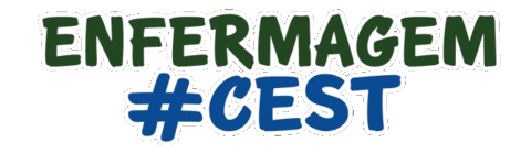 Santa Terezinha Enfermagem Sticker by Faculdade CEST