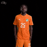 Fifa World Cup Elephants GIF by Respective