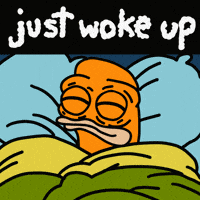GIF by shremps
