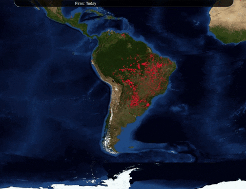 elcolombiano giphygifmaker amazon amazonas amazonia GIF