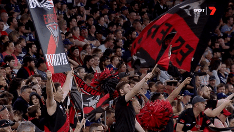 sport fans GIF by Essendon FC