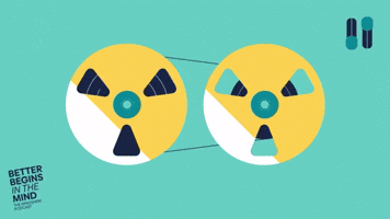 Better Begins in the Mind Mindshine Podcast