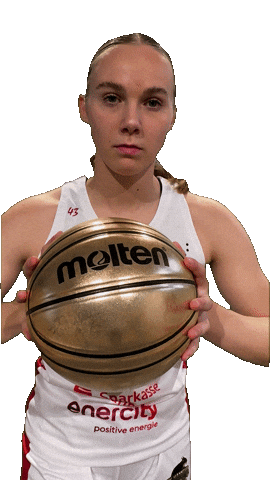 Basketball Bundesliga Sticker by TKH Luchse