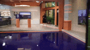 GIF by KARE 11