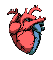 Heart Noi Sticker by OTR Live