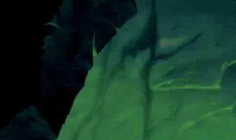scar GIF