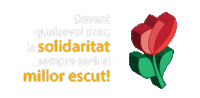 Rosa Catalunya Sticker by Casal dels Infants