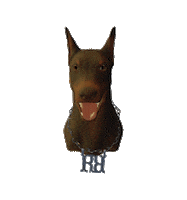 Ravani iced out dobermann ravani Sticker