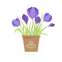 Time Change Spring Sticker by McEnearney Associates