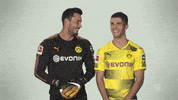 happy borussia dortmund GIF by Bundesliga