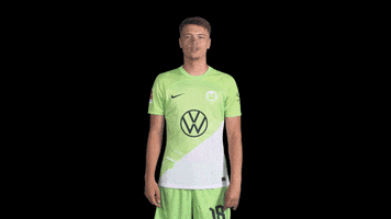 Germany Hello GIF by VfL Wolfsburg