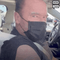 Get In Arnold Schwarzenegger GIF by NowThis