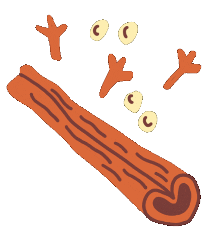 Cinnamon Spices Sticker