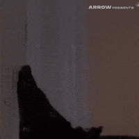 Help Me No GIF by Arrow Video