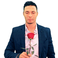 Rose Alan Sticker by Der Bachelor (Schweiz)