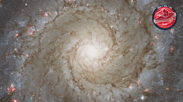 James Webb Nasa GIF by ESA Webb Space Telescope