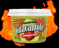 YucatanGuac fire mexico chile flame GIF