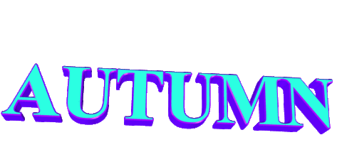 text weather Sticker