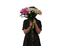 ByDecorum hello flowers bloemen westland Sticker